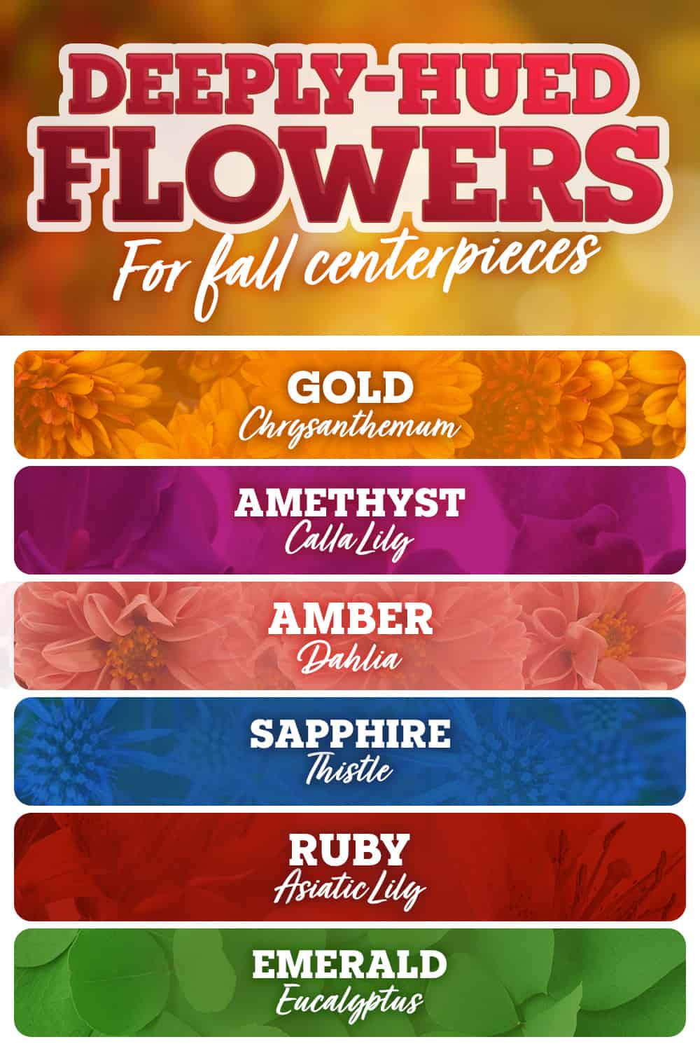 A GUIDE TO BRILLIANT FALL BLOOMS WITH JEWELTONED HUES