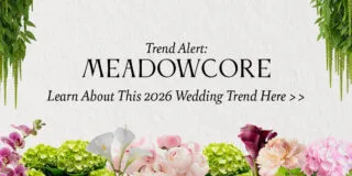 Content-FDS-Meadowcore-BlogHeader